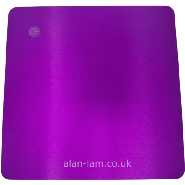 large plate purple plate front view